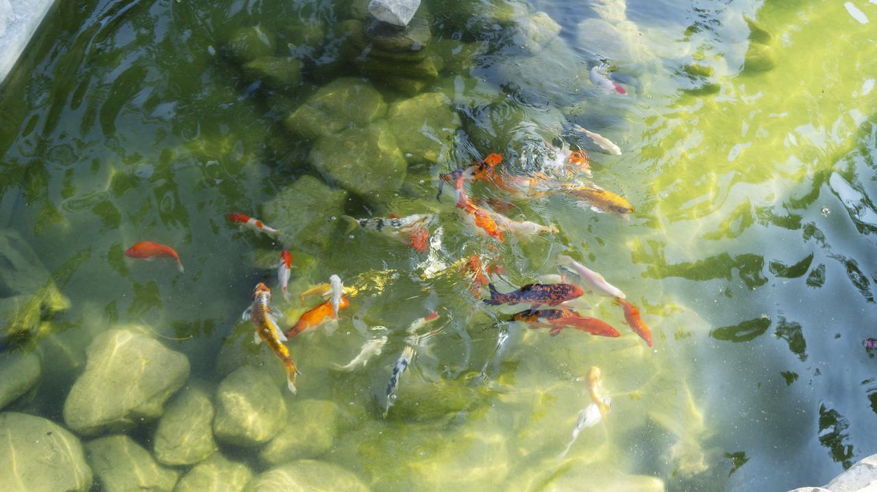 Pisces Garden B&B Checheng Luaran gambar